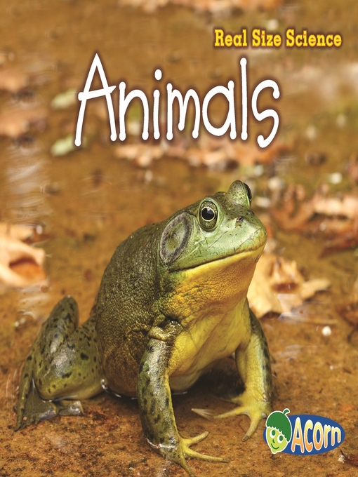 Title details for Animals by Rebecca Rissman - Available